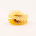 Load image into Gallery viewer, <COUCOU SUZETTE> SUNFLOWER HAIR CLAW-COUCOU SUZETTE-SUNNAO