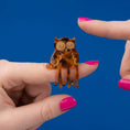 Load image into Gallery viewer, <COUCOU SUZETTE> MINI OWL HAIR CLAW-COUCOU SUZETTE-SUNNAO