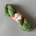 갤러리 뷰어로 이미지로드, <STUDIO MISHA&PUFF>RWS Yarn Skein - Jadeite-Studio Misha & Puff-SUNNAO