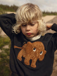 Load image into Gallery viewer, Mini Rodini Mammoth chenille sweatshirt (92-134)