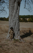 将图像加载到画廊查看器中, 【予約】<Organic zoo> Tree Sweatshirt