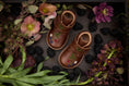 Load image into Gallery viewer, <Petit Nord> Scallop Velcro Boot BlackBerries - Hazelnut