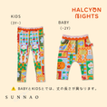 Load image into Gallery viewer, <Halcyon Nights> Pocket Patch Leggings