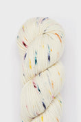 Load image into Gallery viewer, Studio Misha & Puff - RWS Yarn Skein - Confetti Cake
