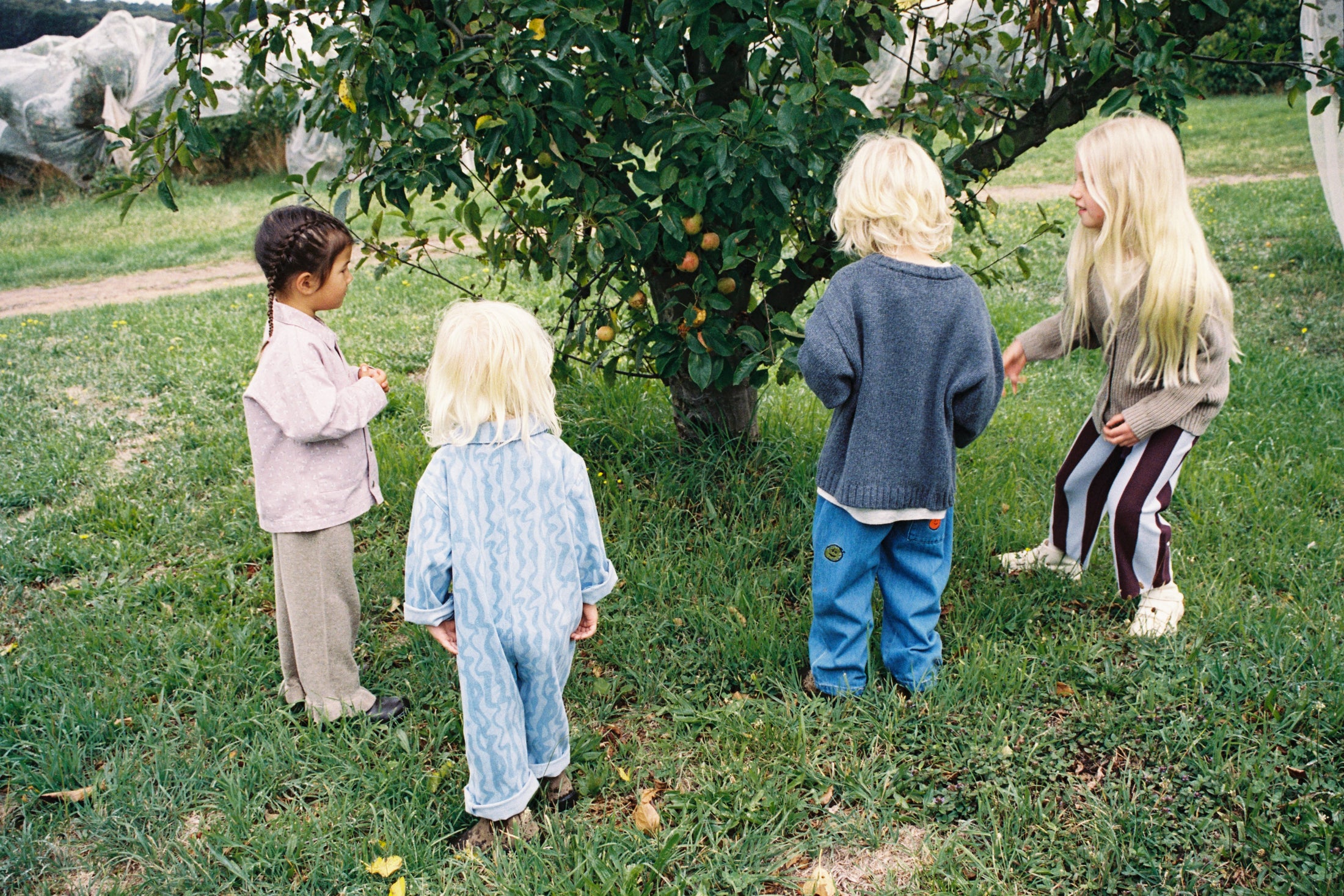 <GROWN> Organic Fruit Salad Denim Pants