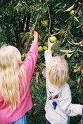 Load image into Gallery viewer, <GROWN> Organic Fruit Salad LS Tee - Gray Marle
