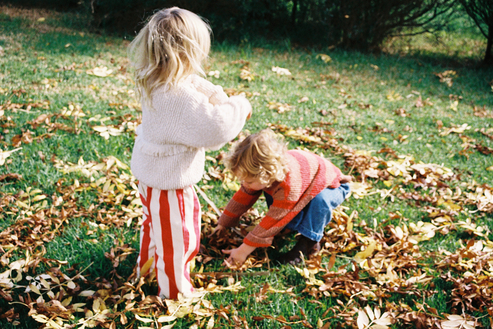 <GROWN> Organic Everyday Stripe Pant - Sauce