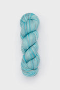 Load image into Gallery viewer, Studio Misha & Puff - RWS Yarn Skein - Lake
