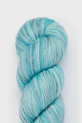 Load image into Gallery viewer, Studio Misha & Puff - RWS Yarn Skein - Lake
