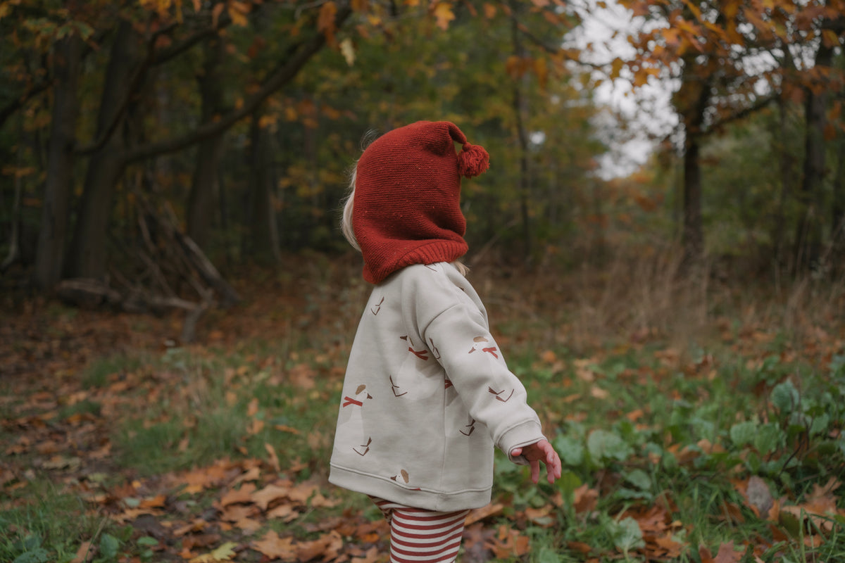 【予約】<Organic Zoo> Christmas Goose Sweatshirt
