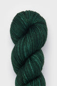 Load image into Gallery viewer, <STUDIO MISHA&PUFF>RWS Yarn Skein - Lauren
