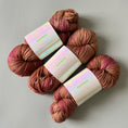 Load image into Gallery viewer, Studio Misha & Puff - RWS Yarn Skein - Autumn Confetti
