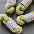 Load image into Gallery viewer, Studio Misha & Puff - RWS Yarn Skein - Autumn Confetti
