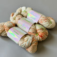 Load image into Gallery viewer, Studio Misha & Puff - RWS Yarn Skein - Autumn Confetti
