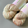 Load image into Gallery viewer, Studio Misha & Puff - RWS Yarn Skein - Autumn Confetti
