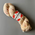 Load image into Gallery viewer, Studio Misha & Puff - RWS Yarn Skein - Dusty rose confetti
