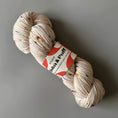 Load image into Gallery viewer, Studio Misha & Puff - RWS Yarn Skein - Iris Confetti
