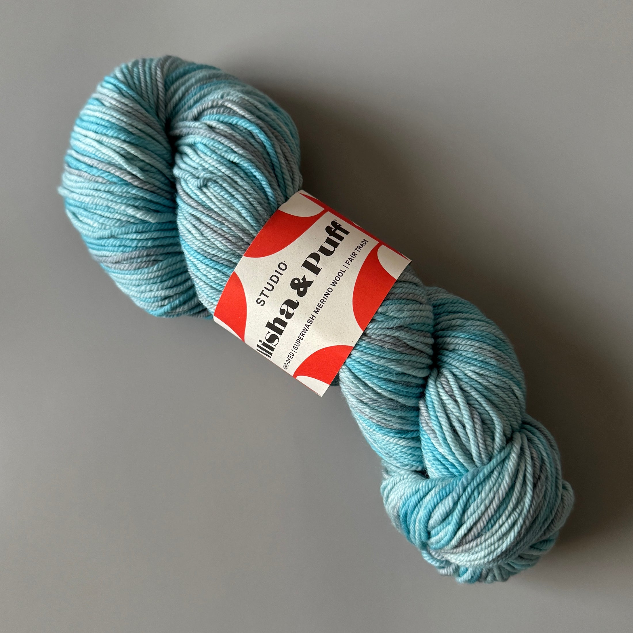 Studio Misha &amp; Puff - RWS Yarn Skein - Lake