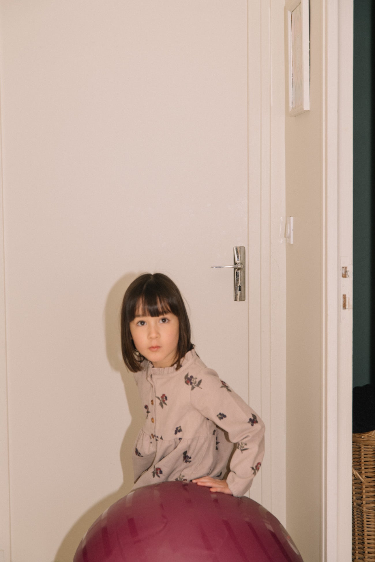 <STUDIO BOHEME PARIS> VERMONT DRESS - LIGHT MAUVE / BLACKBERRIES