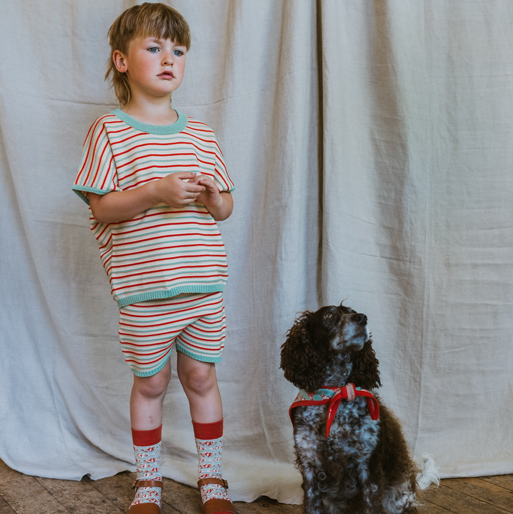 <MABLI> DECK SHORTS - ASPEN STRIPE/A（18M-6Y）