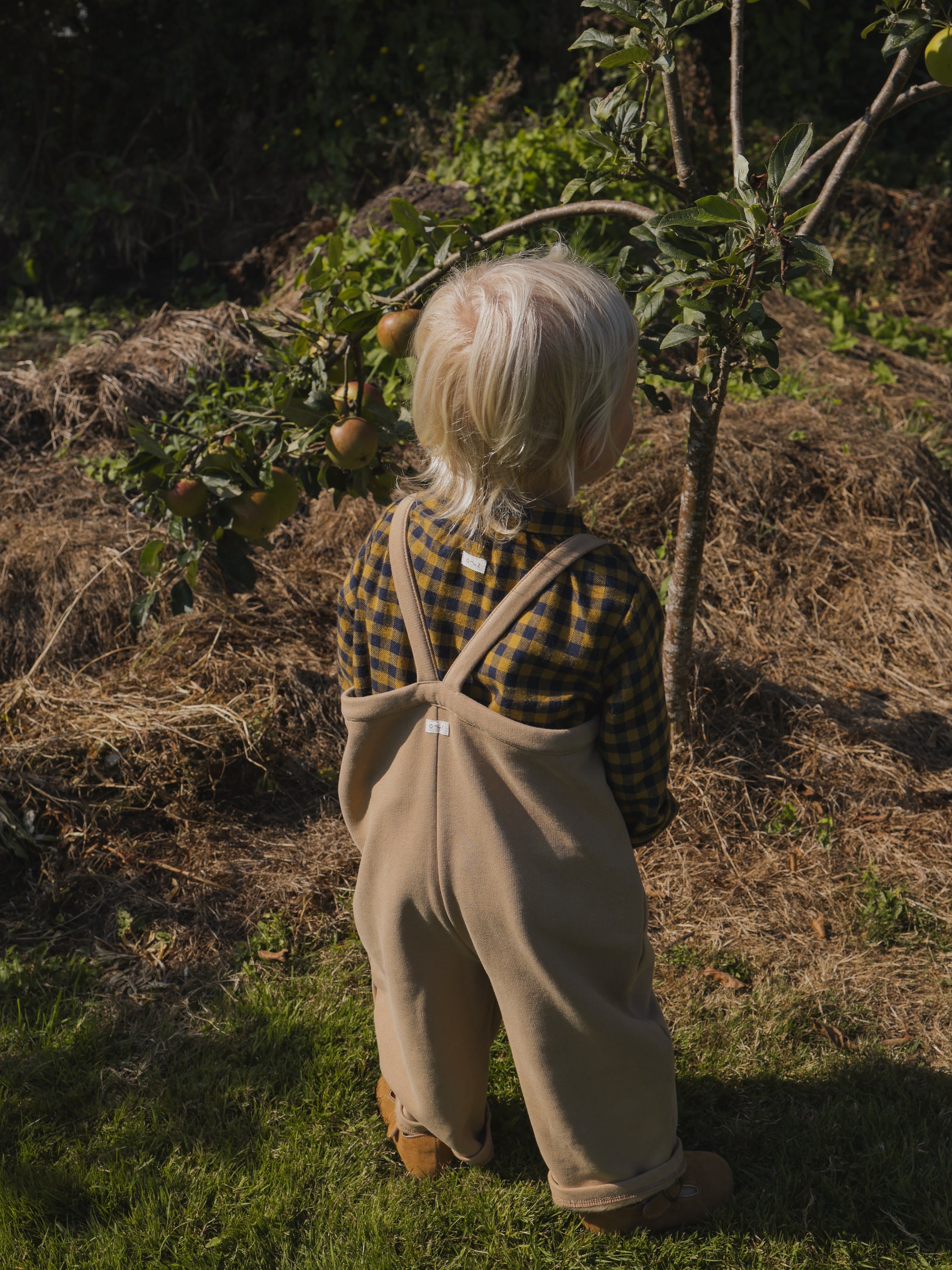 <Organic zoo>Blueberry Gingham Shirt（1Y-5Y）