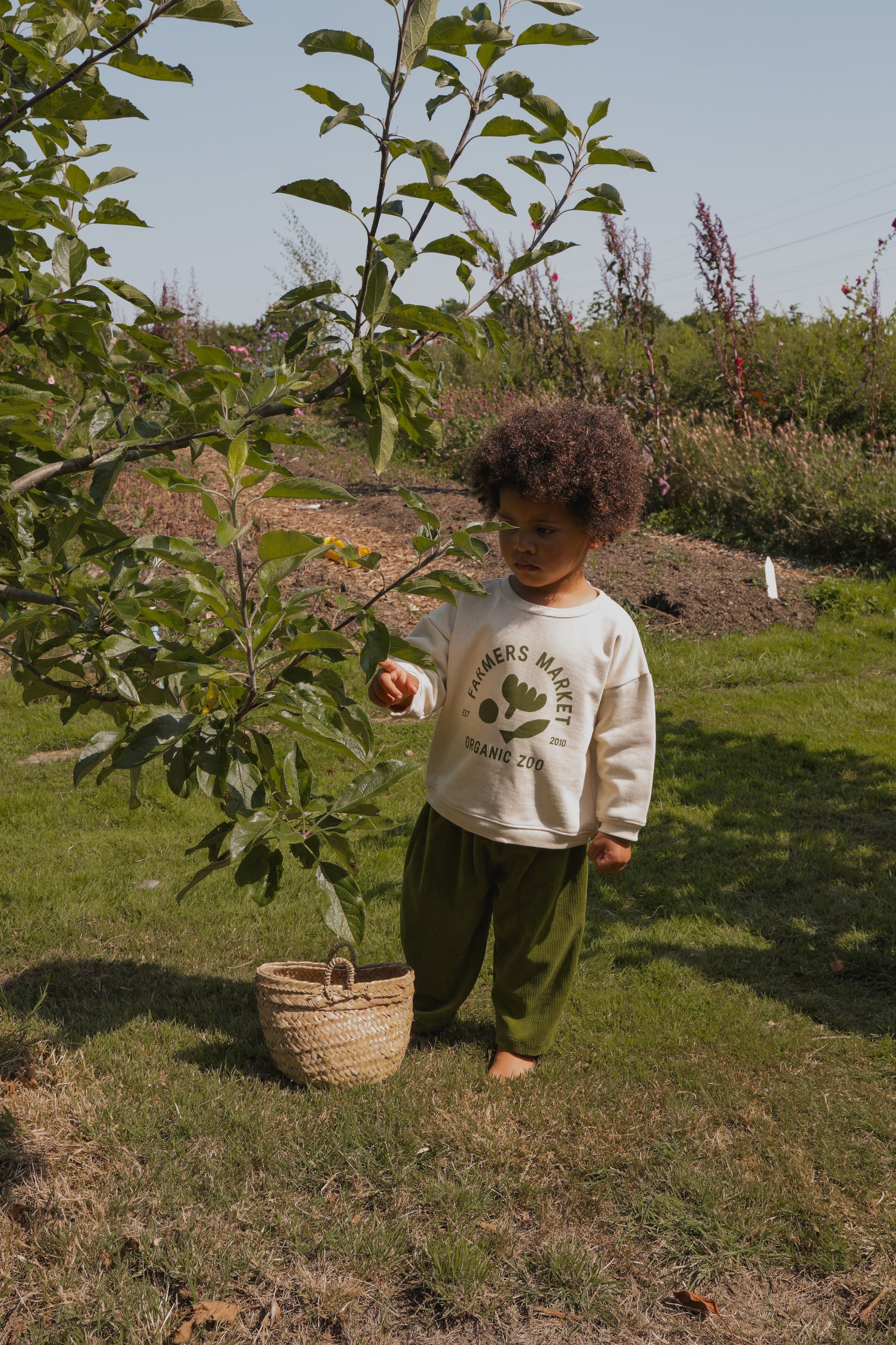 <Organic zoo>Peapod Carrot Pants（1-4Y）