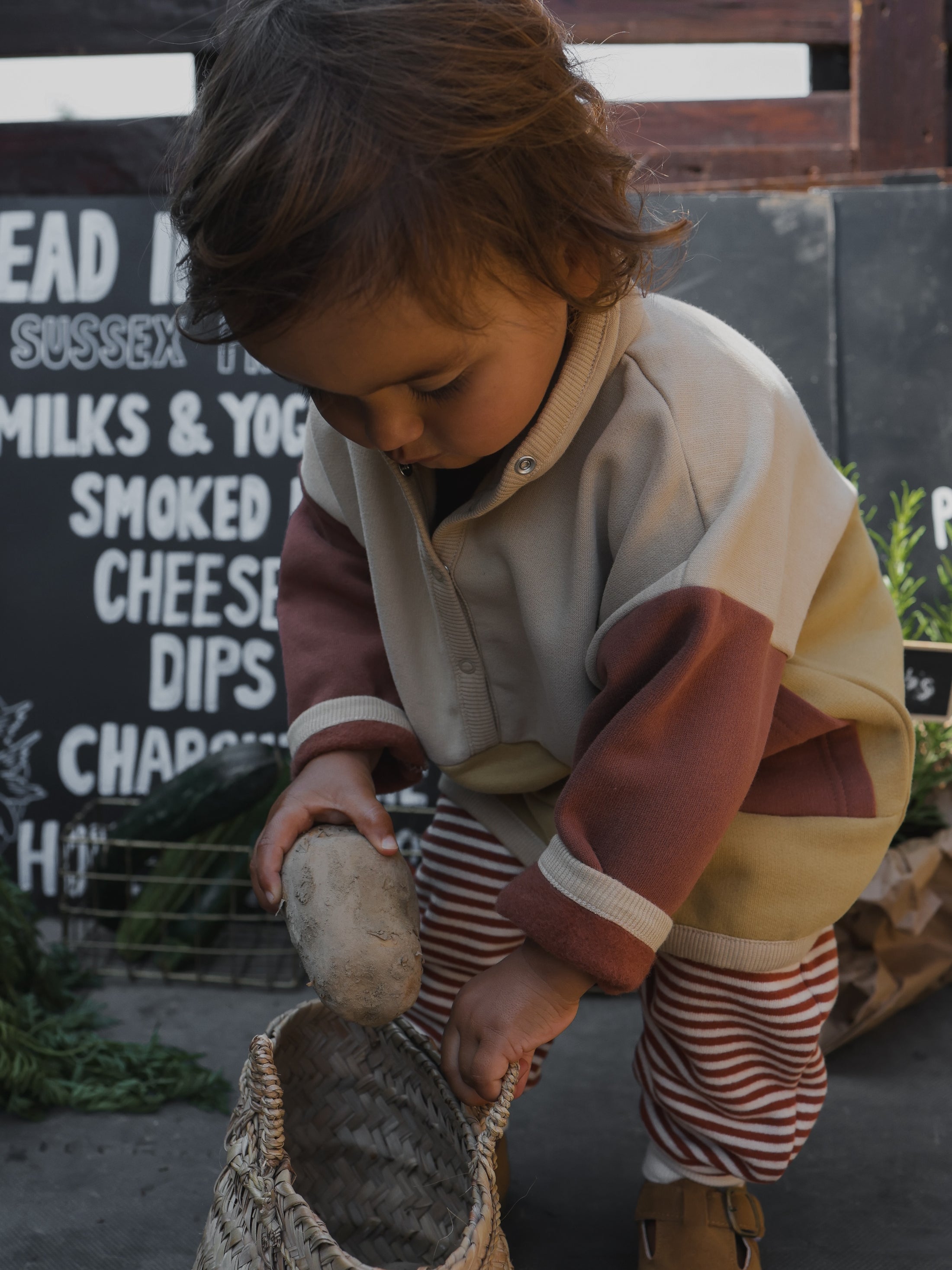 <Organic zoo>Colour Block Sweater（1Y-4Y）