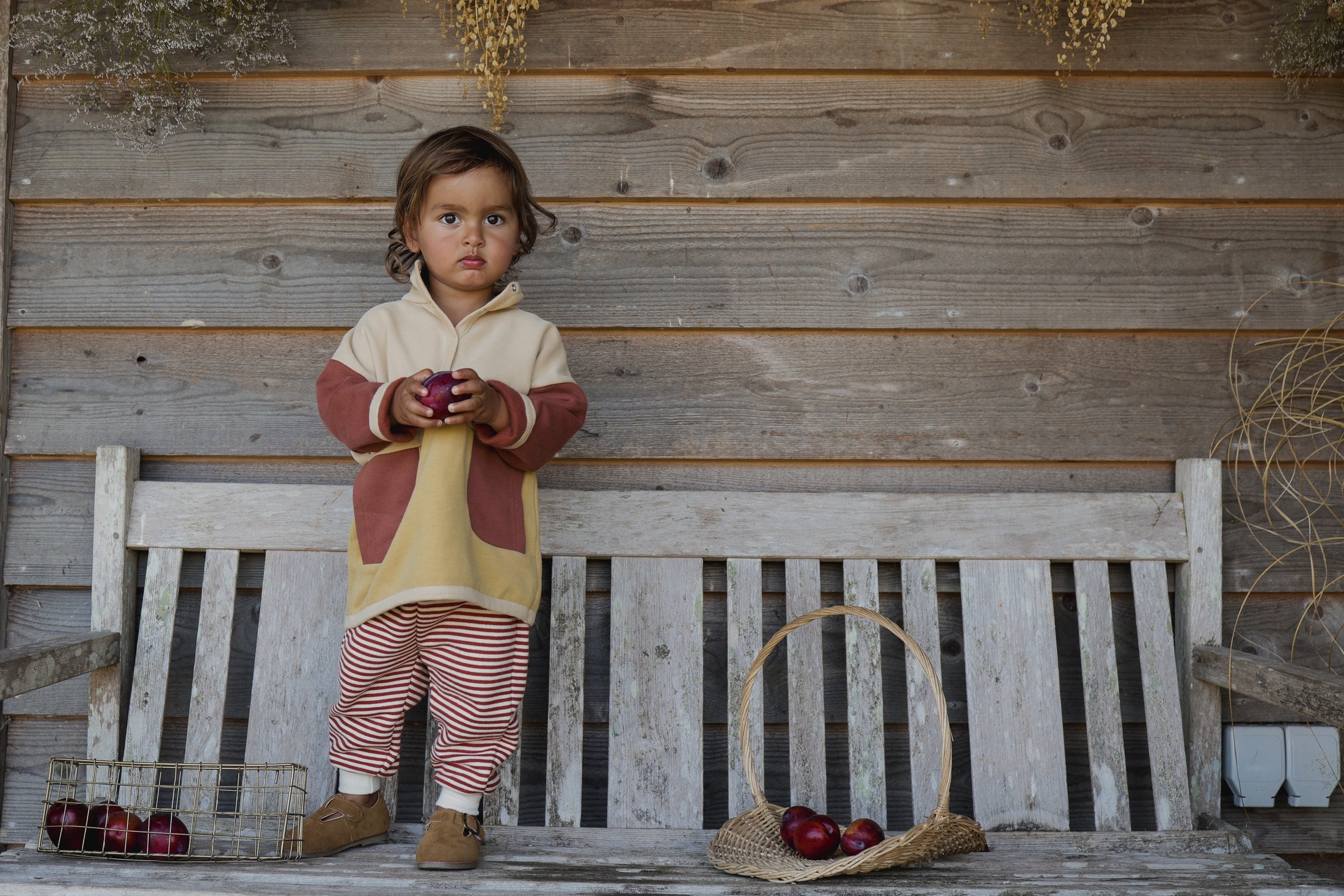 <Organic zoo>Colour Block Sweater（1Y-4Y）