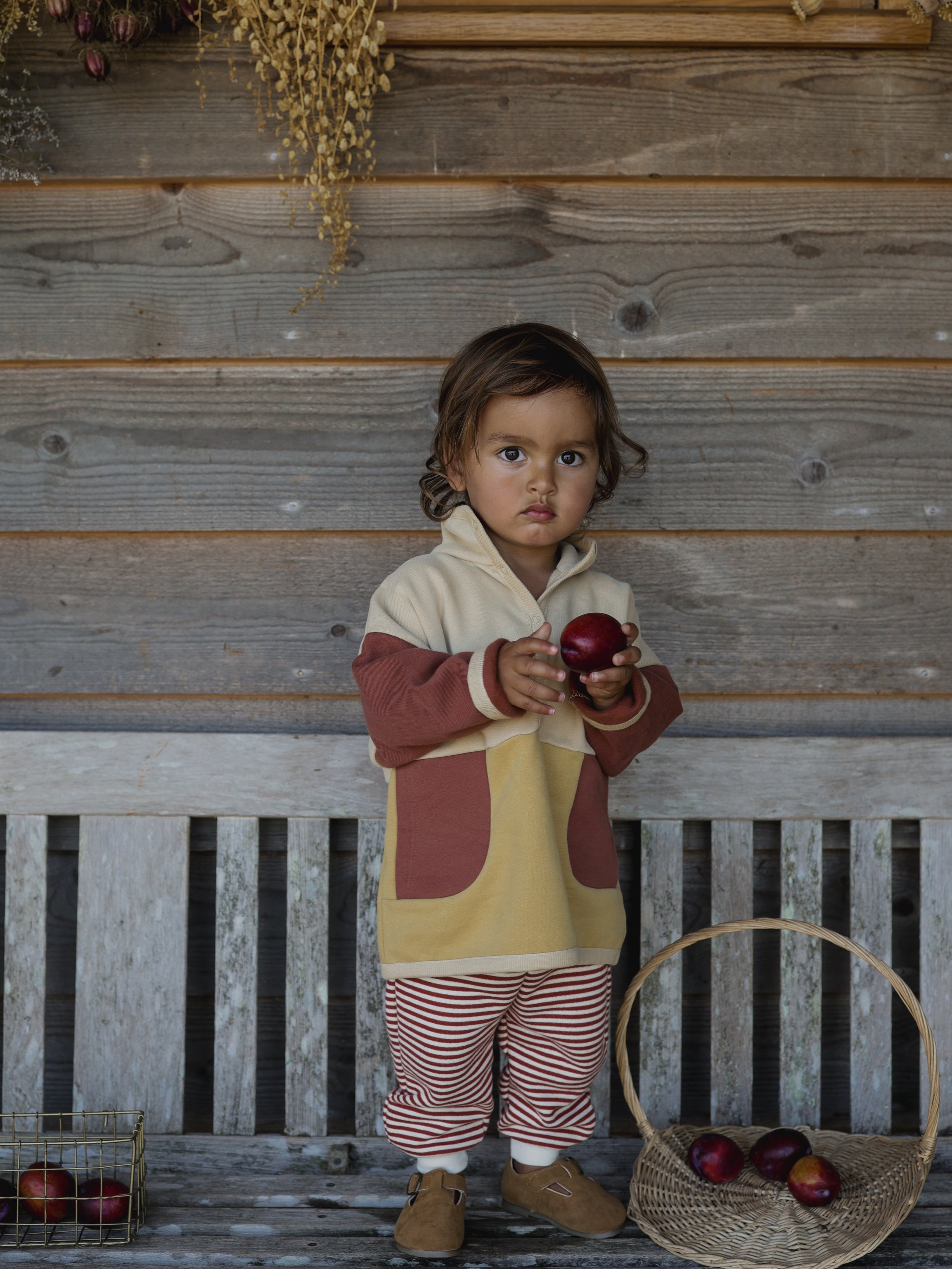 <Organic zoo>Colour Block Sweater（1Y-4Y）