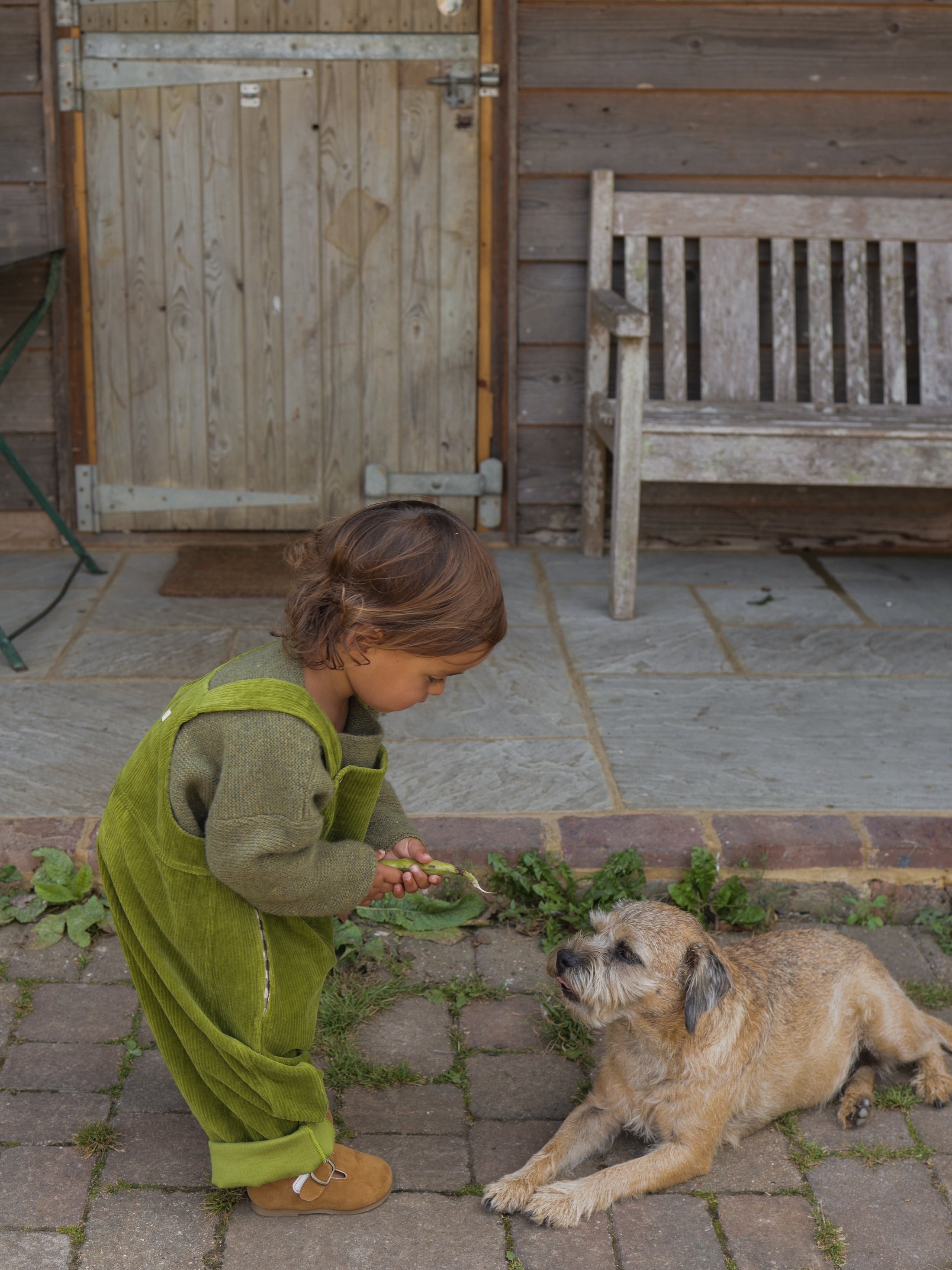 <Organic zoo>Peapod Farmer Dungarees（1Y-4Y）