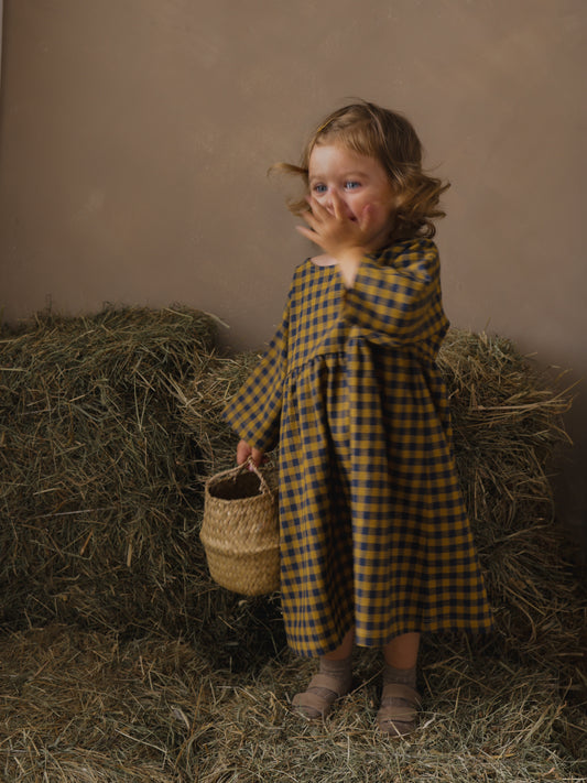 <Organic zoo>Blueberry Gingham Gather Dress（1Y-4Y）