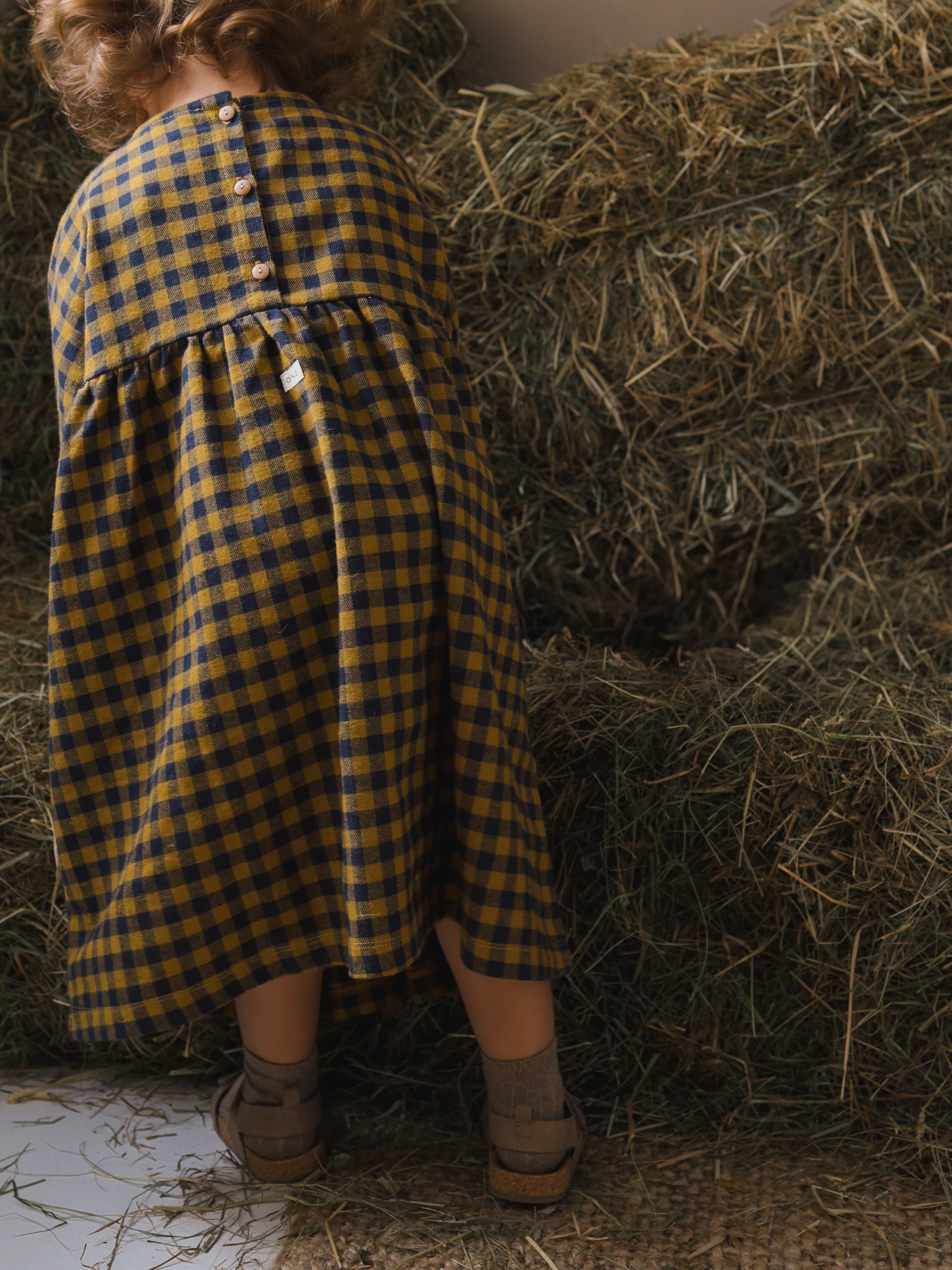 <Organic zoo>Blueberry Gingham Gather Dress（1-4Y）