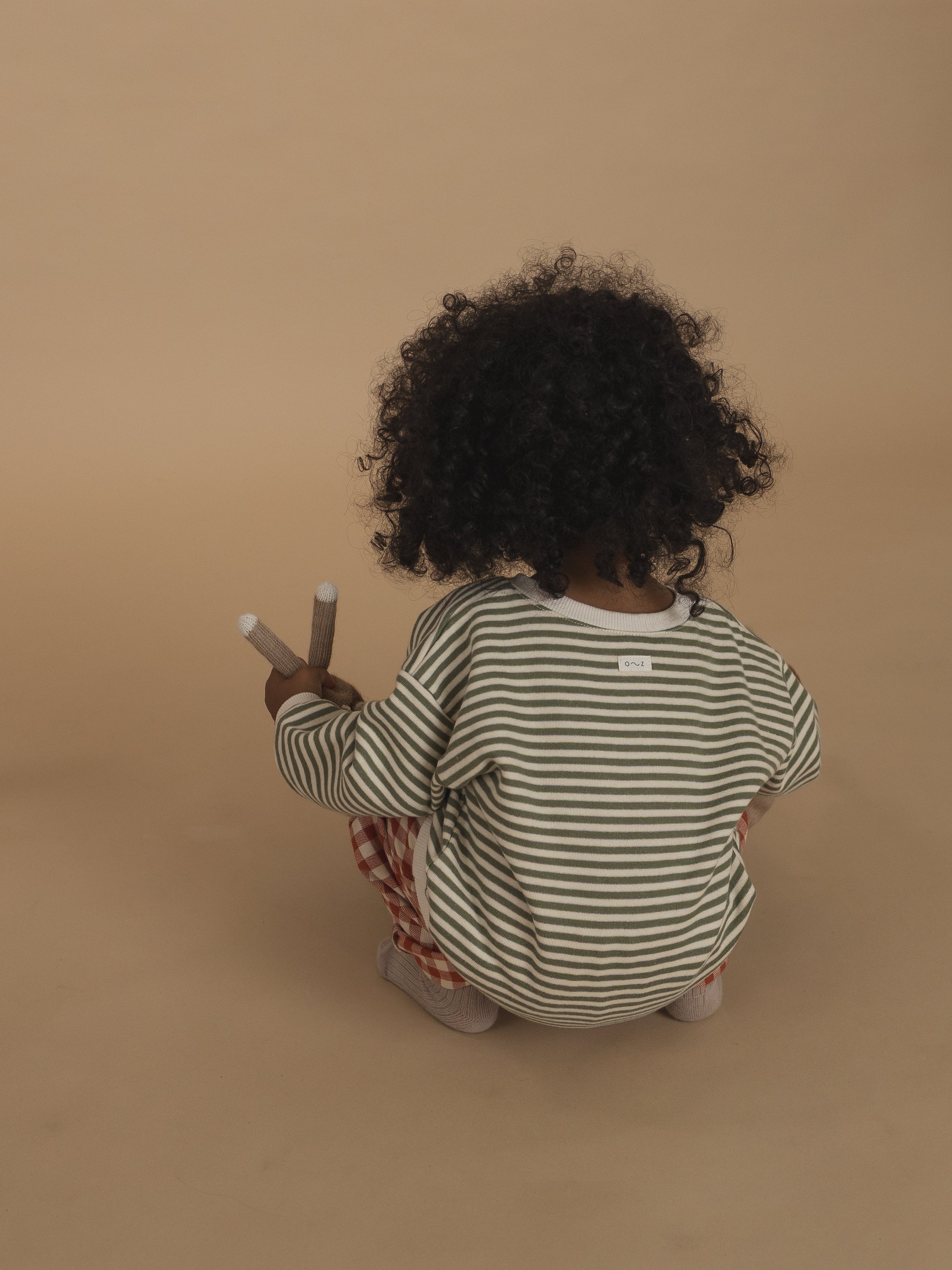 <Organic zoo> Fern Stripes Sweatshirt　