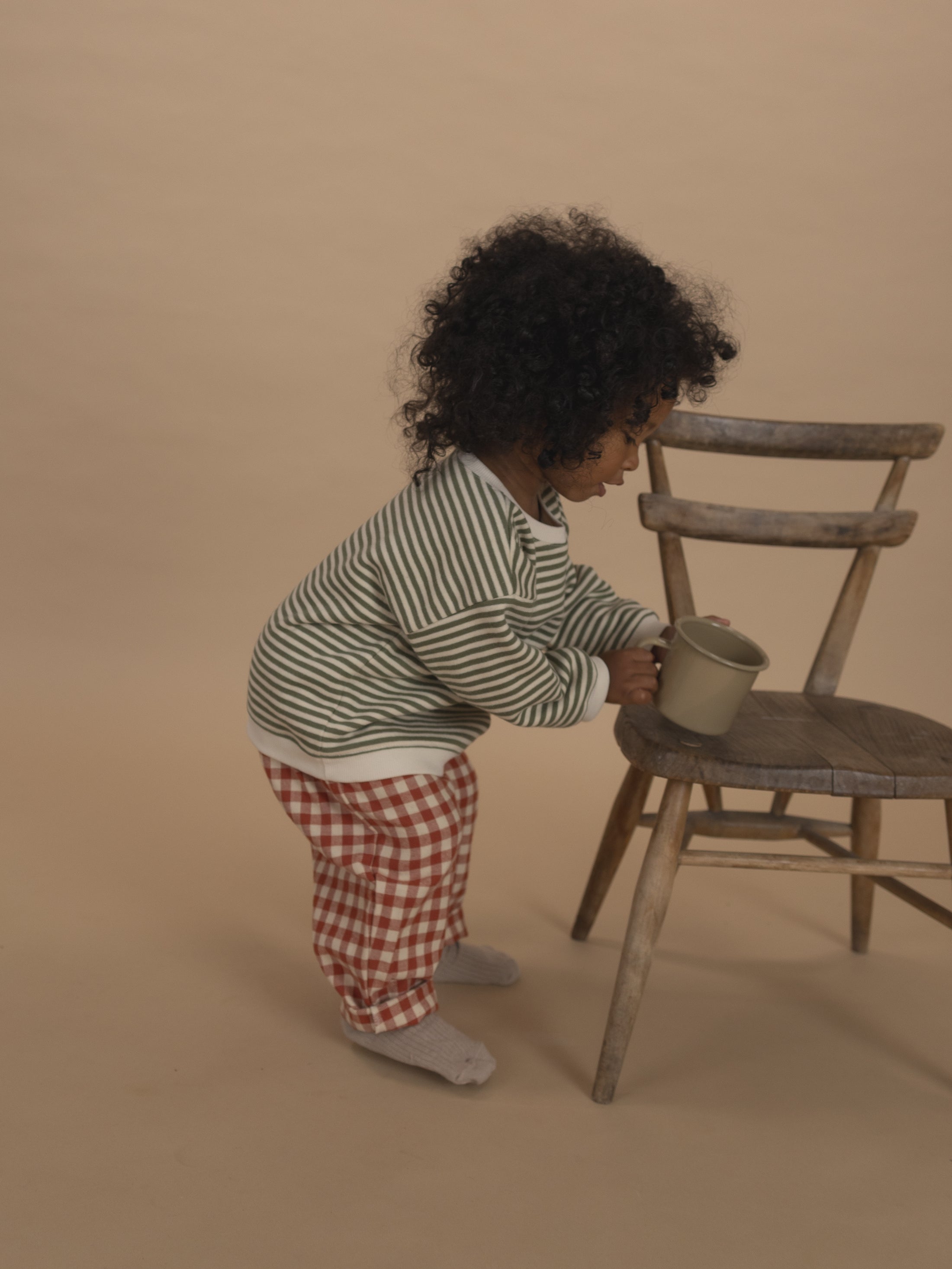 <Organic zoo> Fern Stripes Sweatshirt　