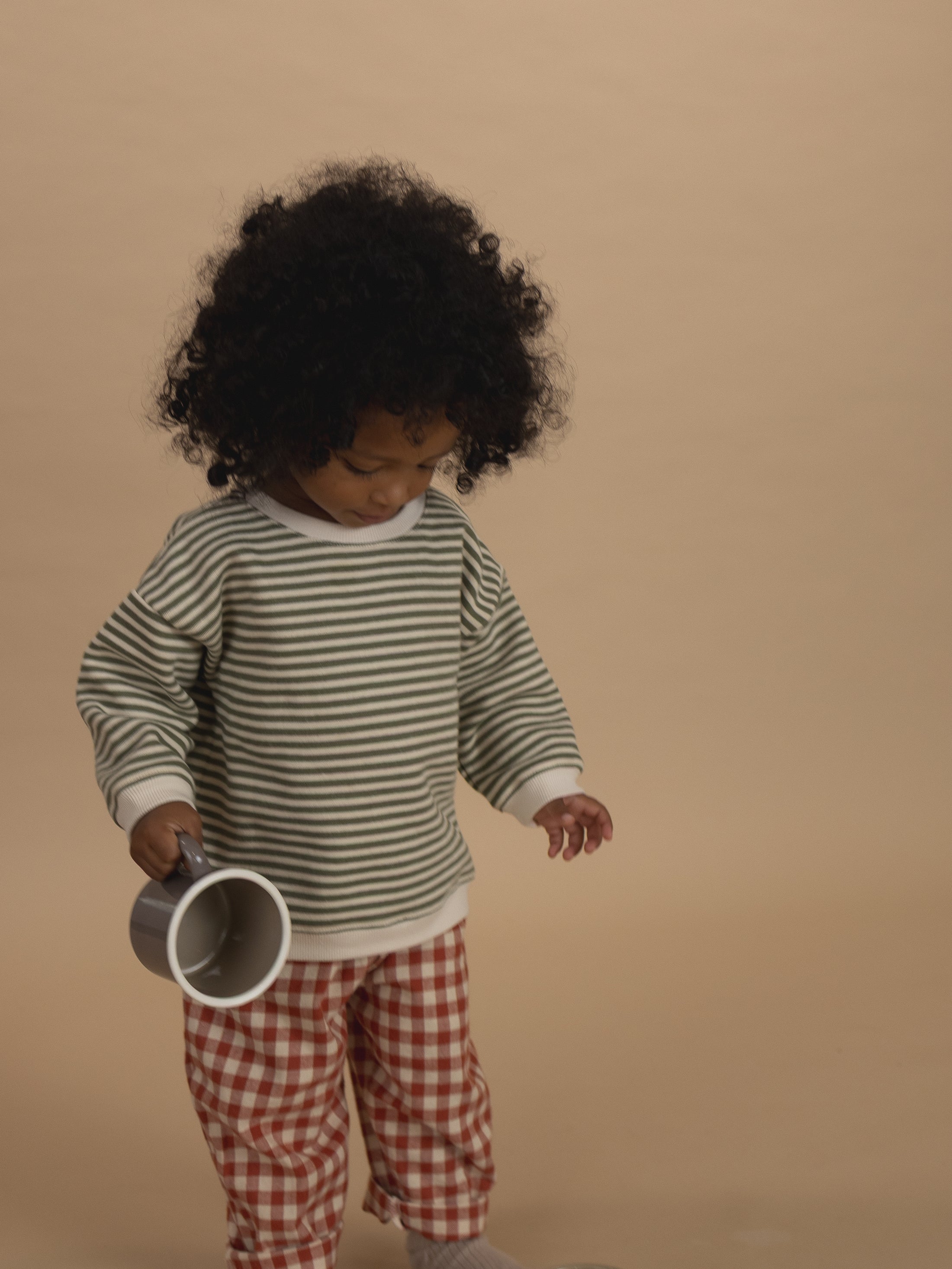 <Organic zoo> Fern Stripes Sweatshirt　