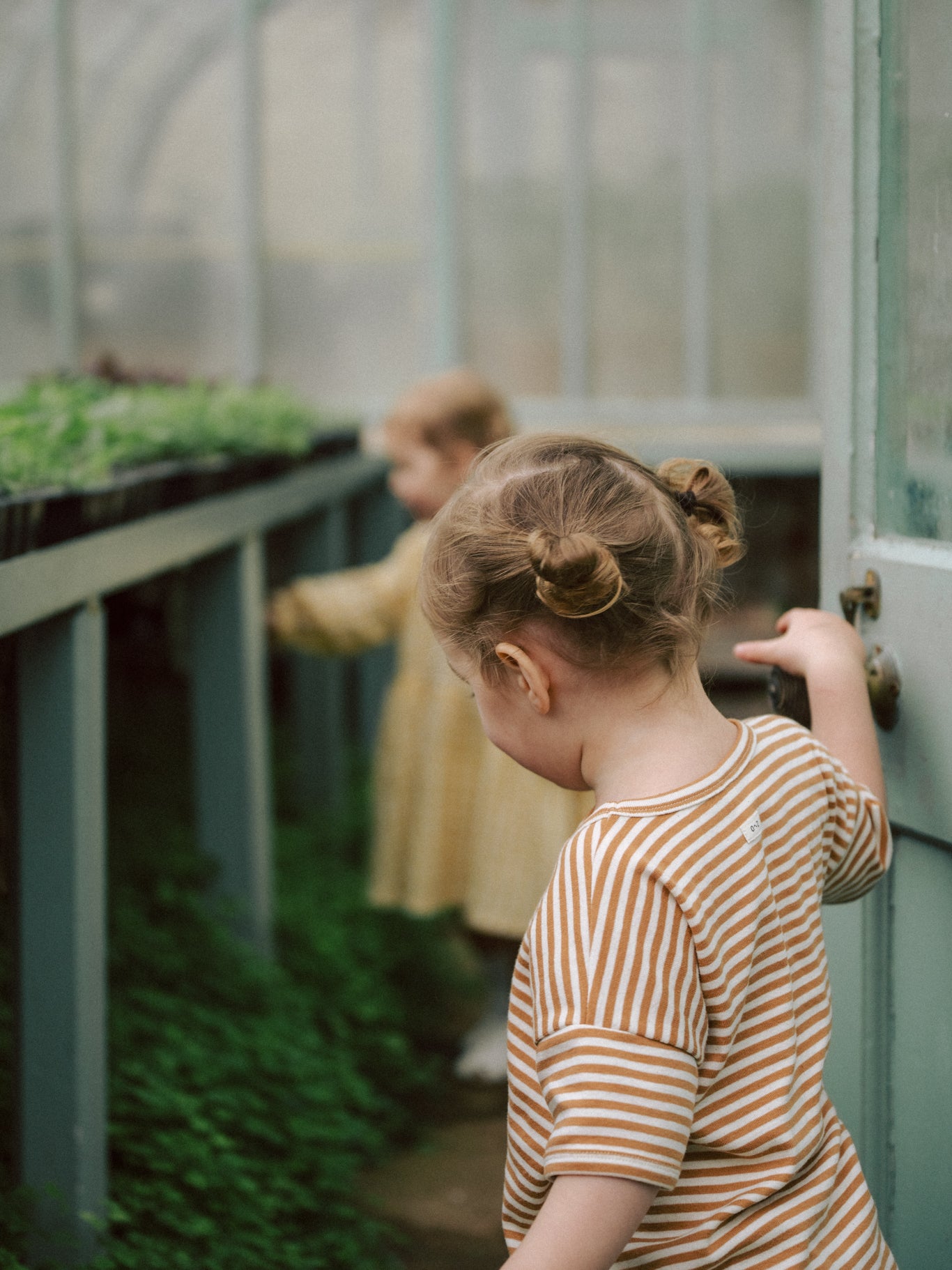 <Organic zoo> Copper Stripes Boxy T-Shirt - DROP1　