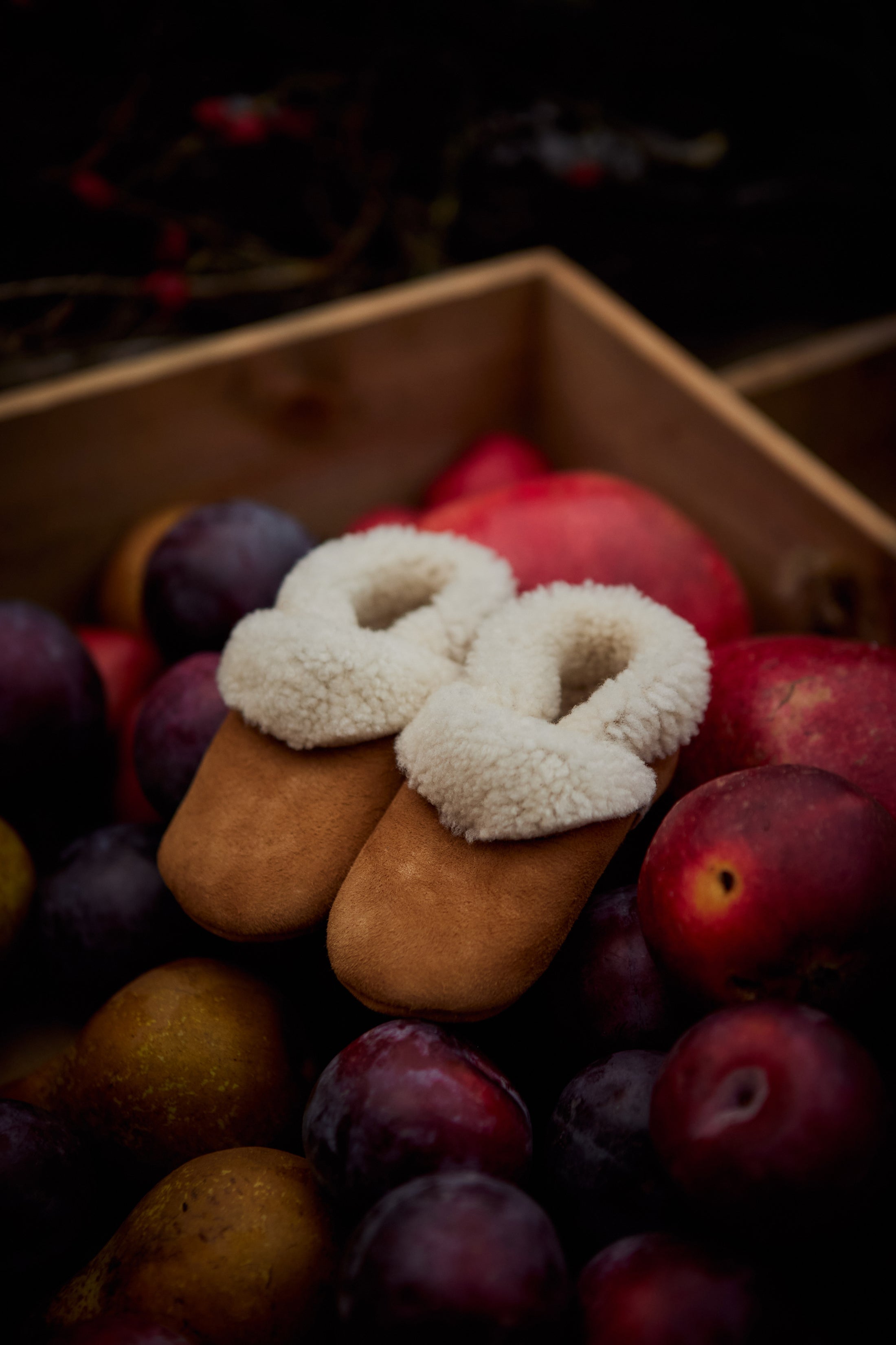 <Petit Nord>  Shearling Bootie- Cognac