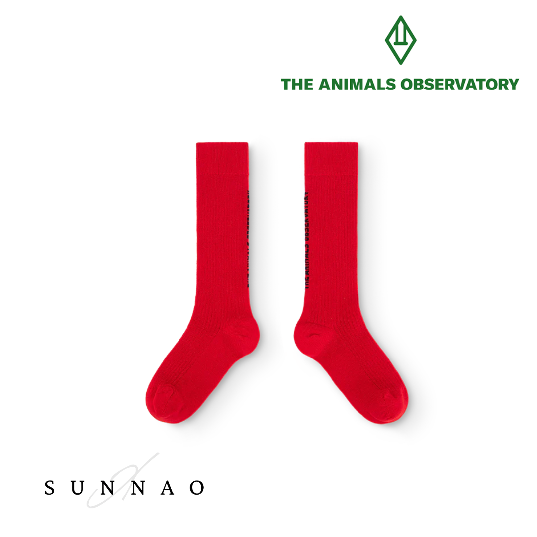 <the animals observatory> Red Worm Socks