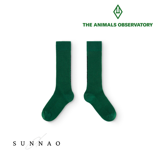 <the animals observatory> Green Worm Socks