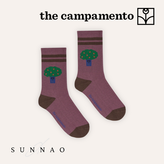 <The Campamento>Big Tree Kids Socks