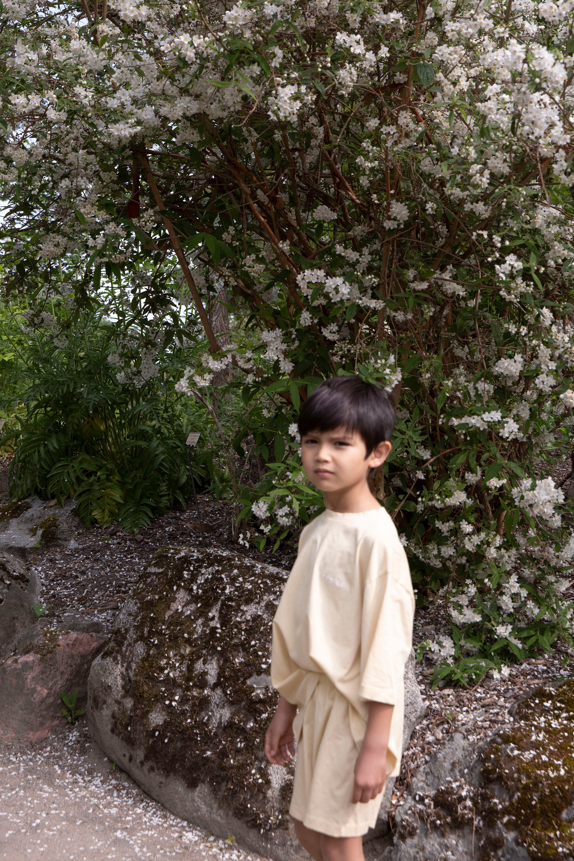 <façade> Wide SS tee - Butter　