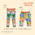 Load image into Gallery viewer, <Halcyon Nights> Koala 4ever Leggings
