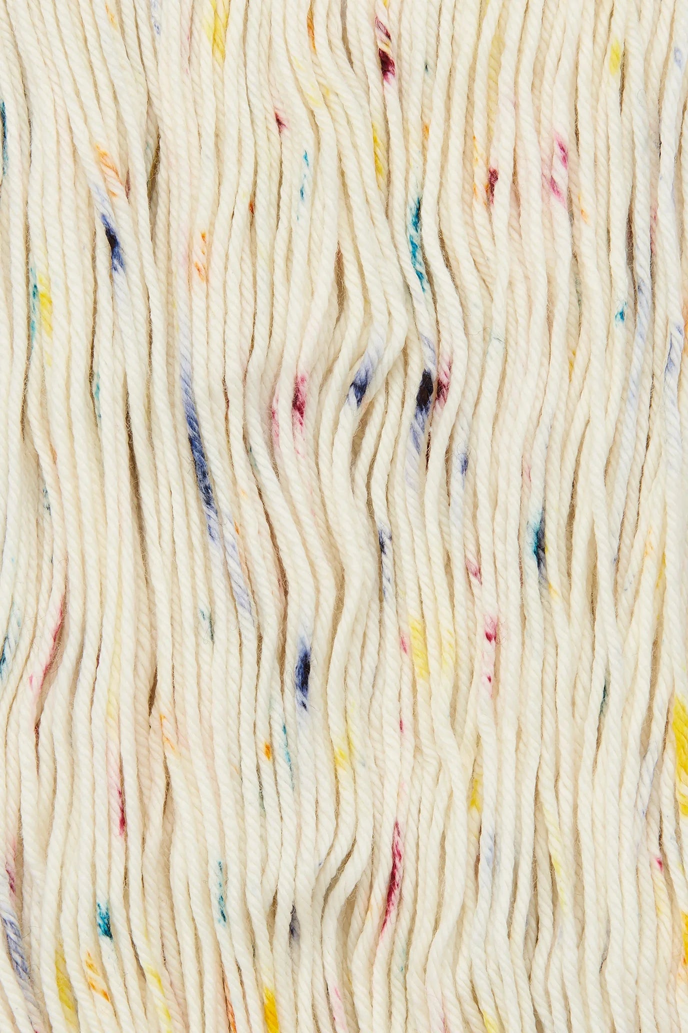 Studio Misha &amp; Puff - RWS Yarn Skein - Confetti Cake