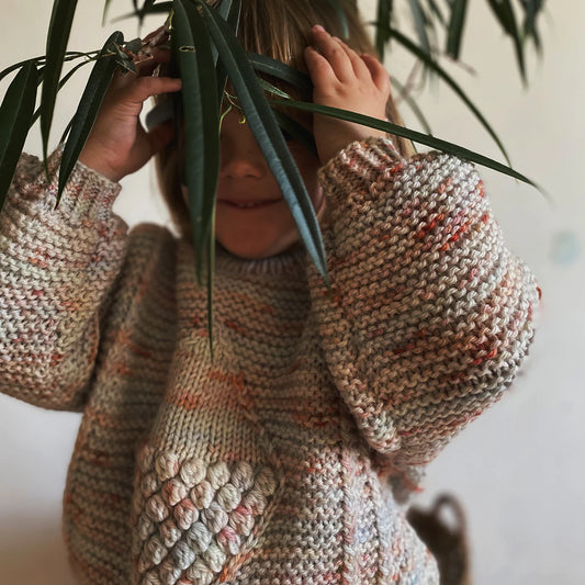 Studio Misha &amp; Puff - RWS Yarn Skein - Autumn Confetti