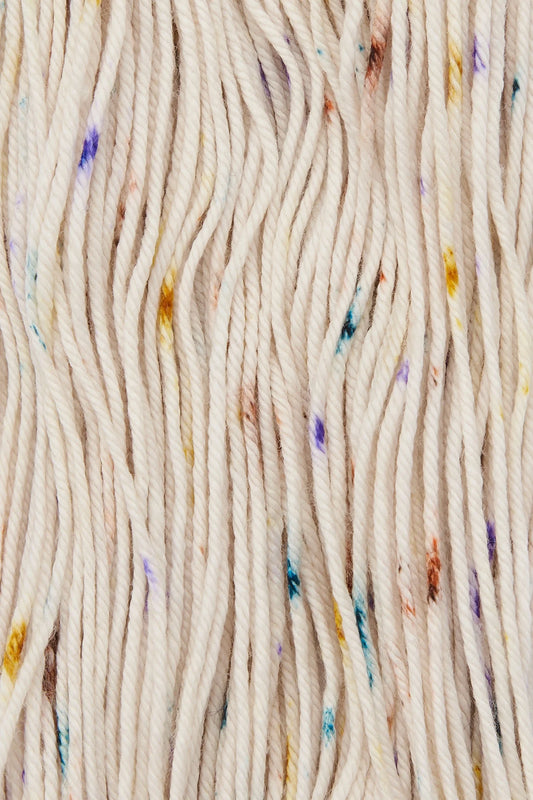 <studio misha> RWS Yarn Skein - Iris Confetti</studio>